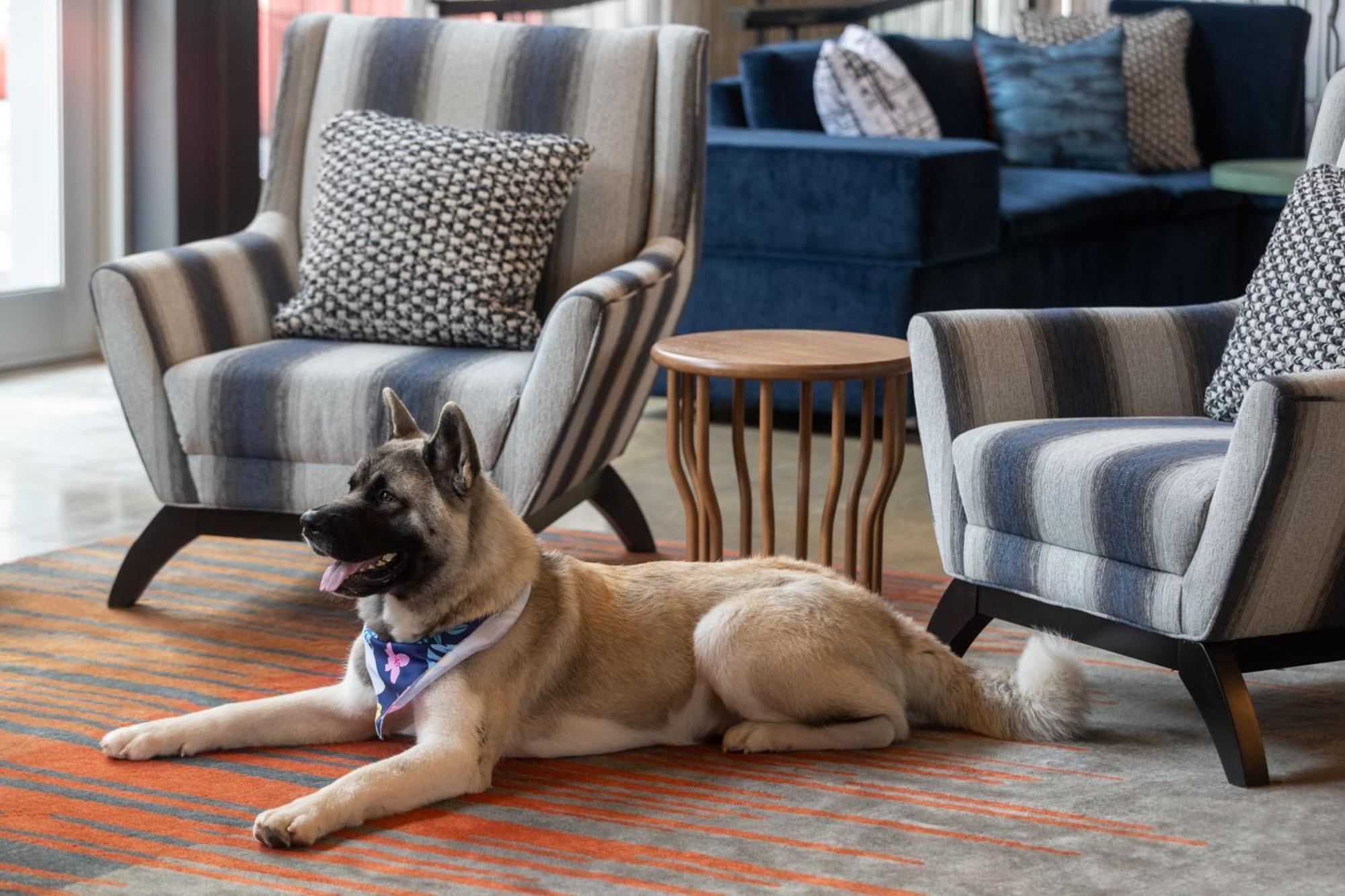 Aloft Beachwood Bagian luar foto